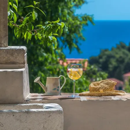 Villa Flores Garden *