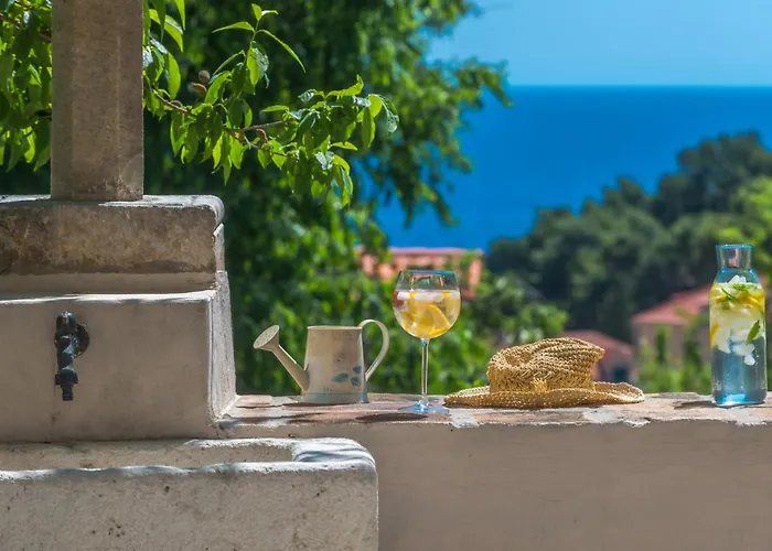 Villa Flores Garden *